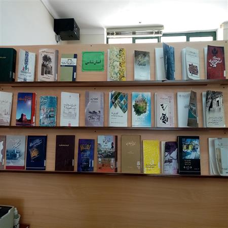 استان شناسی